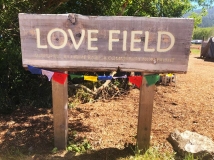 6-2-18_33432036_2046350062298423_7526868841222111232_n