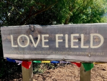 6-2-18_34393974_10157392578013306_5302663913240788992_n