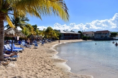 1-14-19_50754222_2247497471939978_2168023933956128768_n