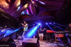 1-17-19_DSO_50958956_1002616616598756_8088844163484745728_o