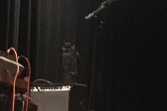 10-14-18_44038384_10216501708126388_2191647551164252160_n