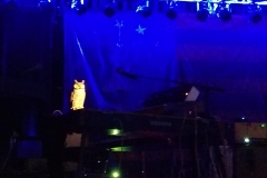 10-14-18_44057842_10218117218466664_4086128926458380288_n