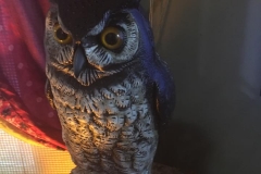 10-16-18_44288427_10216513861470214_1859255251828211712_n