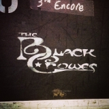 10-28-14_10735403_747108345325584_1114947708_n