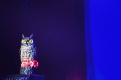 11-10-18_45981477_10216795932387119_1250897967850717184_n