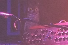 11-11-18_46224198_10213578254075778_7382598364308701184_n