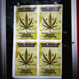 11-12-16_15034806_962311793913282_5057663254801678336_n