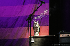 chris-robinson-brotherhood-at-930-club-washington-dc-112016_31261707480_o