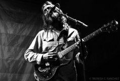 chris-robinson-brotherhood-at-930-club-washington-dc-112016_31596912426_o