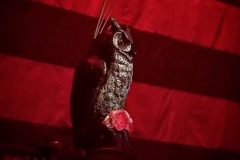 11-8-18_44760102_322492445207681_4086843591243134990_n