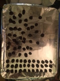 12-14-17_25299277_1901503263498861_4965230508316045272_n