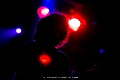 12-31-14_MG_4286