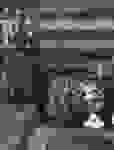 2-17-17_428634237_10231831811714789_1339203526913880673_n