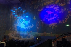 2-21-19_52478478_803716193340840_3050191387417903104_n