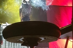 2-5-19_51323379_10217466358187345_7800660181569765376_n