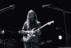 chris-robinson-brotherhood--rockefeller-2018_40405372385_o