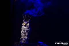 chris-robinson-brotherhood_ulu_london_40010889095_o