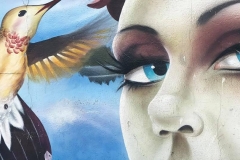 3-23-19_54729351_2115832781826575_7338561209924321280_n