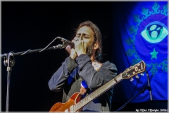 3-7-16_25597427126_f622cb7b02_k