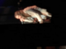 27028113427_3b39f5fced_o