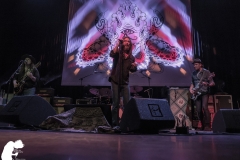 5-1-18_41893223161_cb68fe770d_b