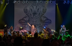 as-the-crow-flies-51218-033_dxo_41214693365_o