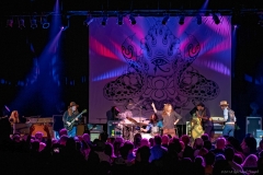 as-the-crow-flies-51218-042_dxo_27245181557_o