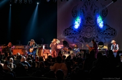 as-the-crow-flies-51218-044_dxo_41395499174_o