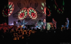 as-the-crow-flies-51218-074_dxo_42115824811_o