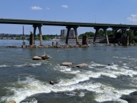 5-18-19_60528635_10157090729596768_8967985292795445248_o