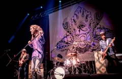 5-8-18_32402340_2889839514391473_2282597039889973248_o