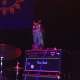 6-14-14_10483447_1468532196720101_2135101063_n