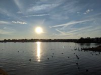 7-1-19_65929478_10157191304096768_6724282093758578688_o