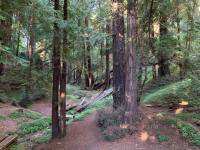 7-30-20_116313422_10224129691257968_1413655017623361344_o