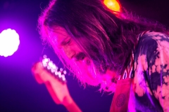 2017-08-18-chris-robinson-brotherhood_36227579573_o