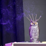 CRB.lyric.photography-5790