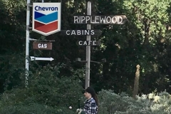 9-21-18_42309724_10155312466015904_3415612002440052736_n