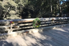 9-22-18_42460435_10157086180528287_9187001789935779840_n