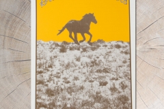 GLR Show Poster California Run