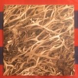 Phosphorescent Harvest 7" (Back)